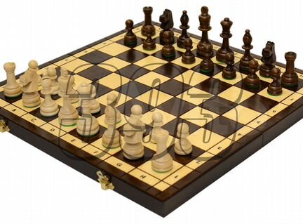 Шахматы Олимпиада (50958)