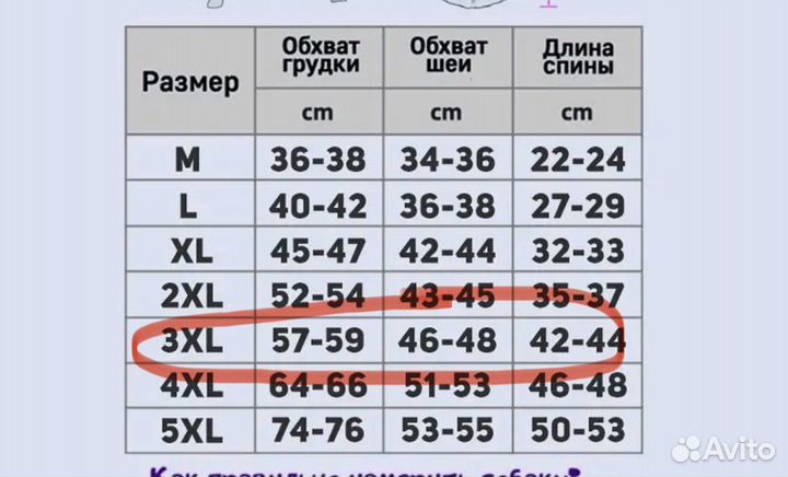 Новый жилет для собак средних пород