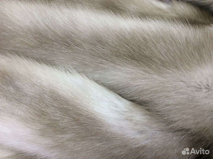 Шкуры куницы