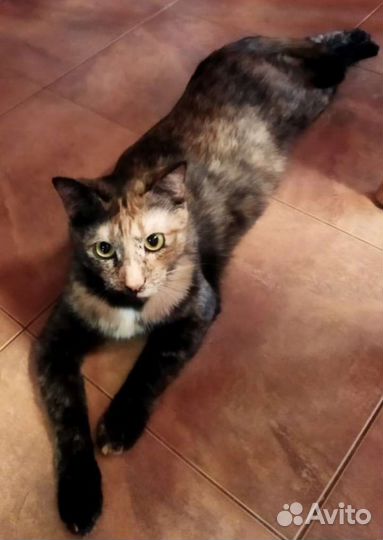 Чудесная девочка подросток в дар