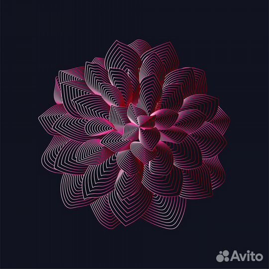 Иллюстратор - графический дизайнер