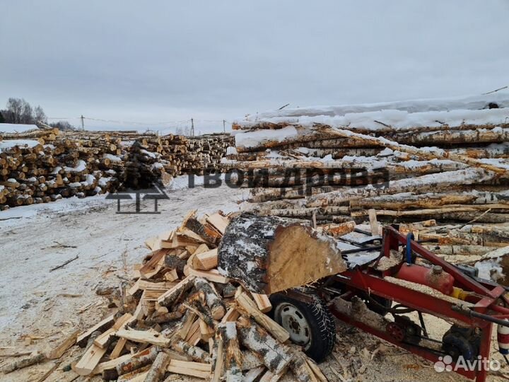 Дрова колотые береза