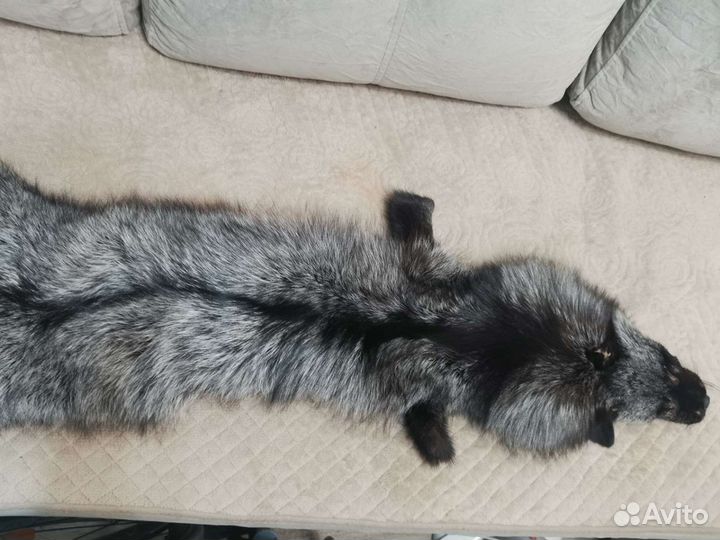Мех лисы чернобурки
