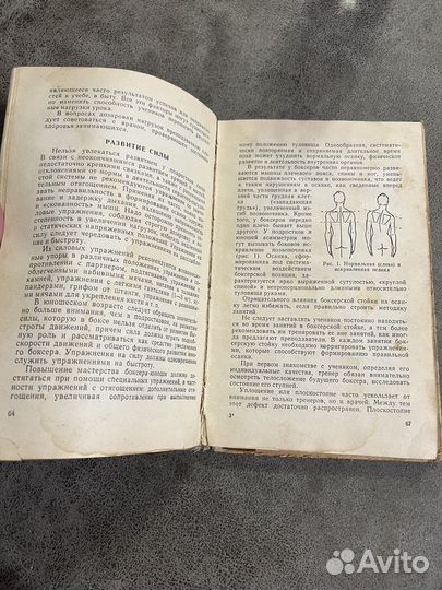 Бокс, ред. Трипольский 1964