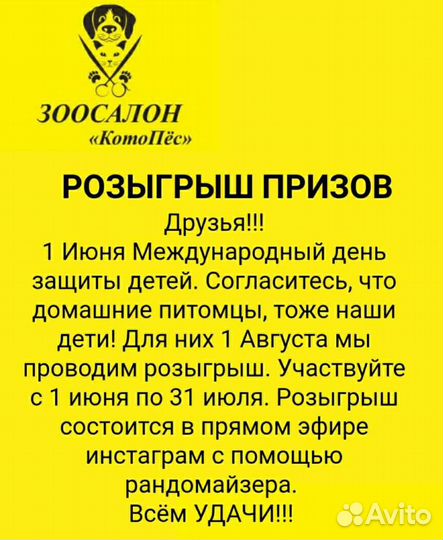 Стрижка собак и кошек