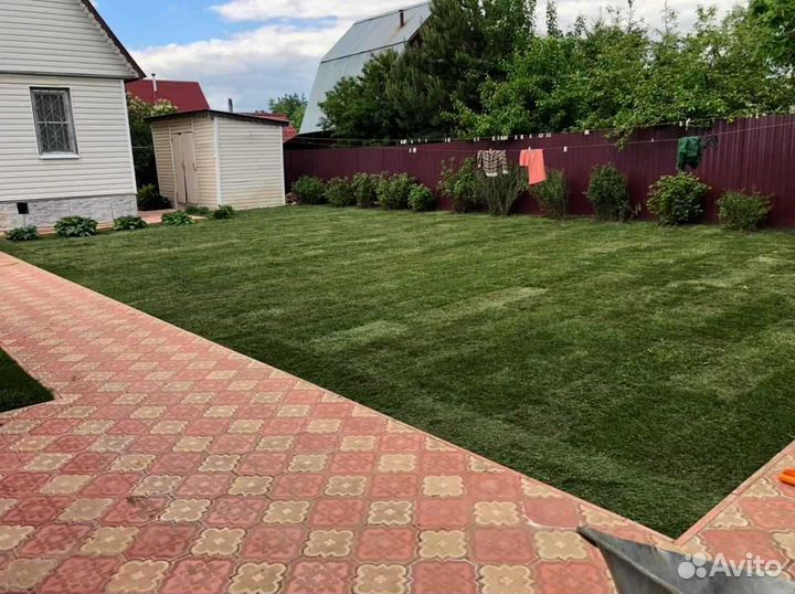 Укладка и продажа газона