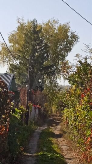 Участок 6,4 сот. (СНТ, ДНП)