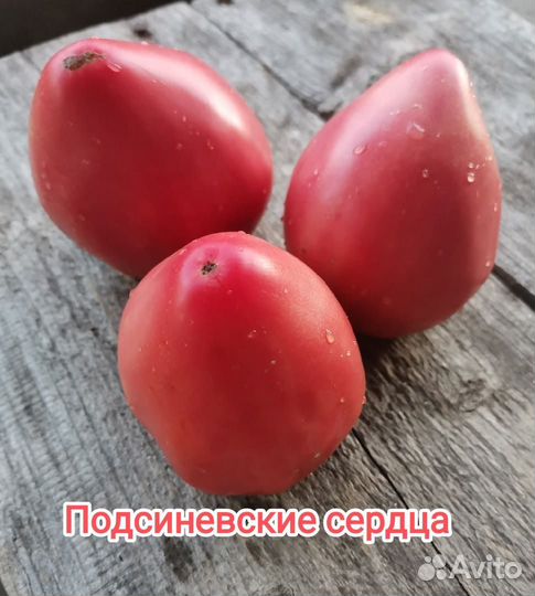 Минусинские сорта
