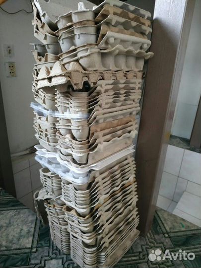 Лотки для яиц