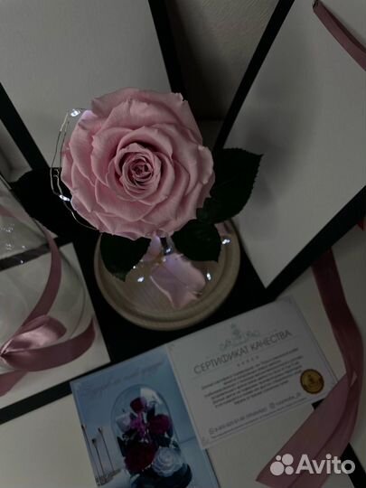 Роза в колбе