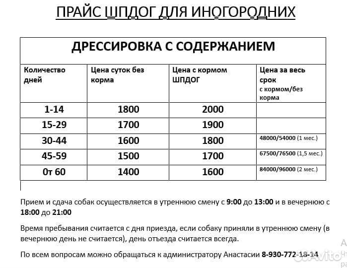 Дрессировка с передержкой, зоогостиница