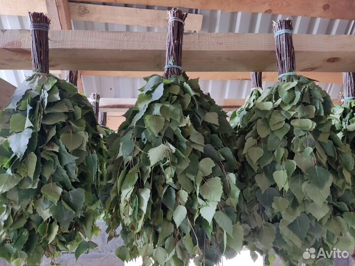 Веники для бани