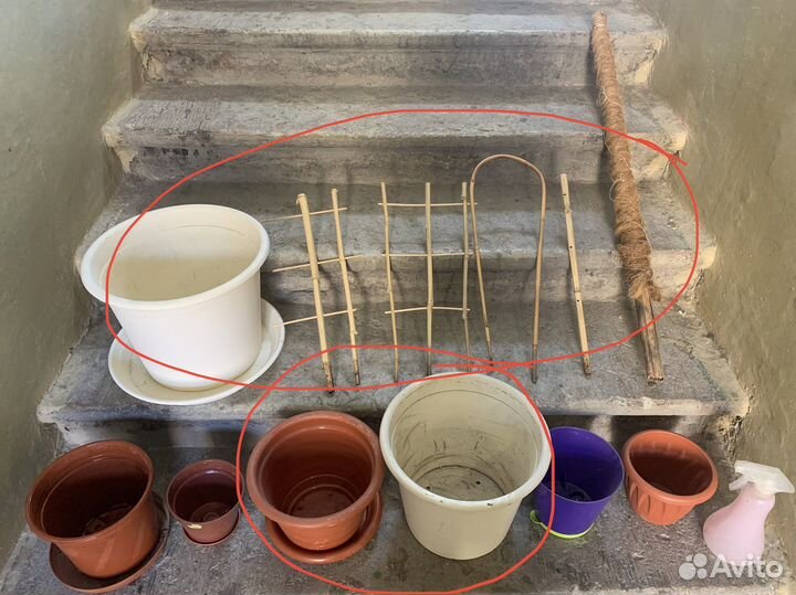 Горшки, опоры для цветов