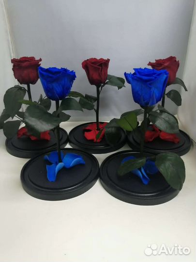 Роза в колбе