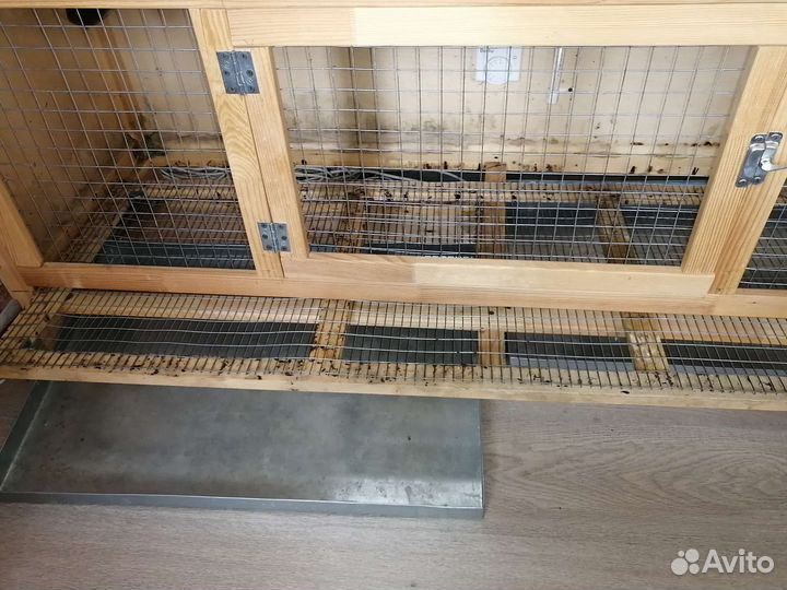 Брудер для цыплят бу