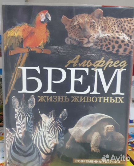 А.Брэм 