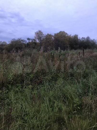 Участок 20 сот. (СНТ, ДНП)