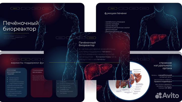 Презентации
