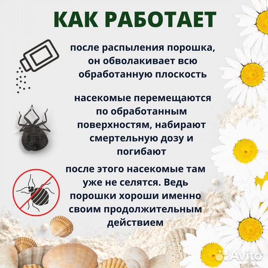 Эко абсолют дуст 500 мл от клопов