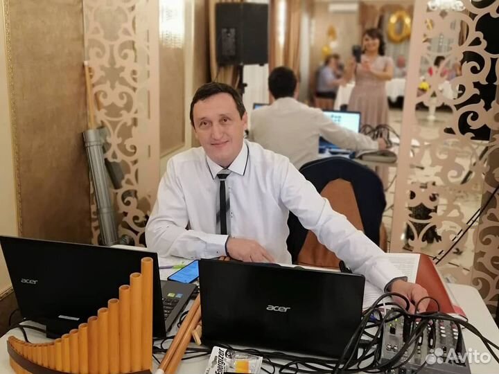 Баянист поющий диджей музыкант