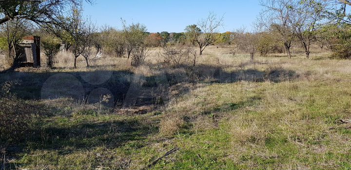 Участок 6 сот. (СНТ, ДНП)