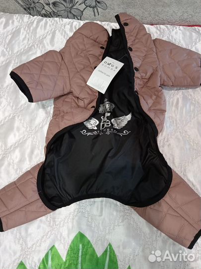 Одежда для собак