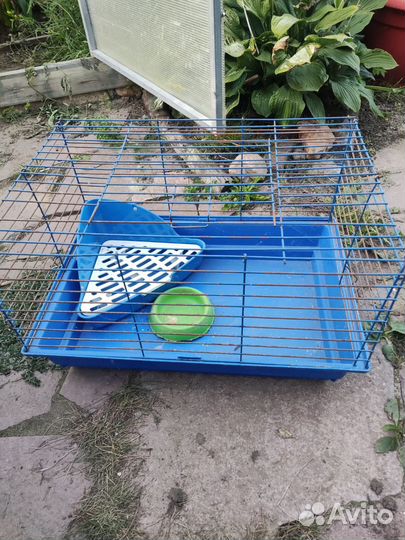 Клетка для кролика