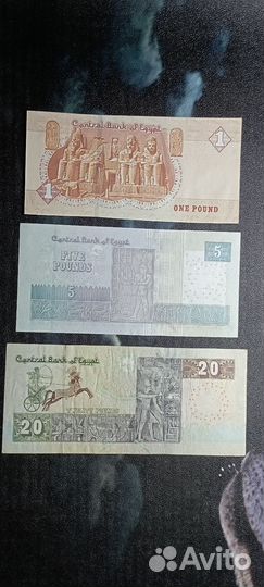 Набор банкнот, купюр Египта 1,5,20 фунтов