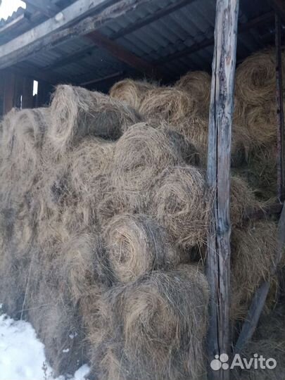 Сено в рулонах 2024 года
