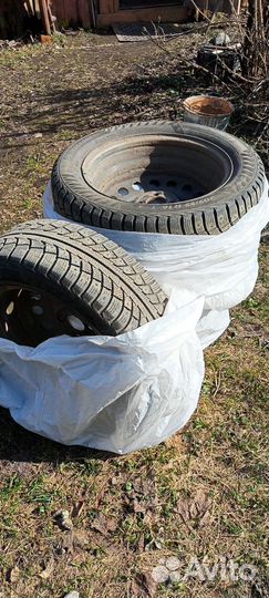 Matador MP 50 Sibir Ice 2 6/6 R6