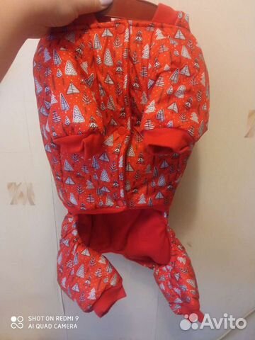 Одежда для собаки