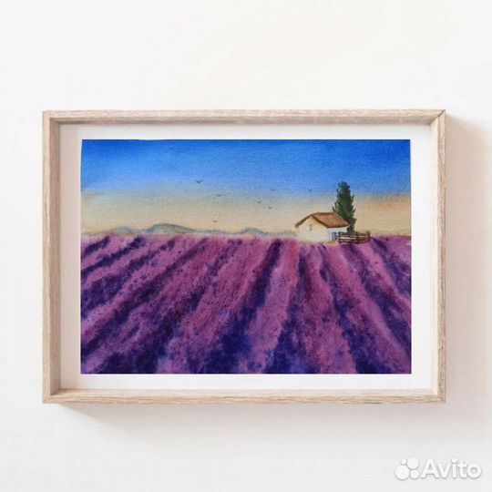 Лаванда. Картина акварелью