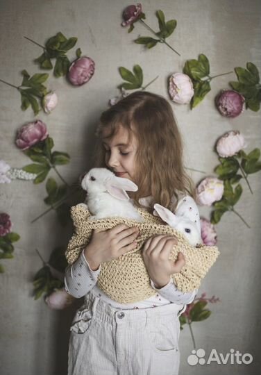 Питомник мини кроликов