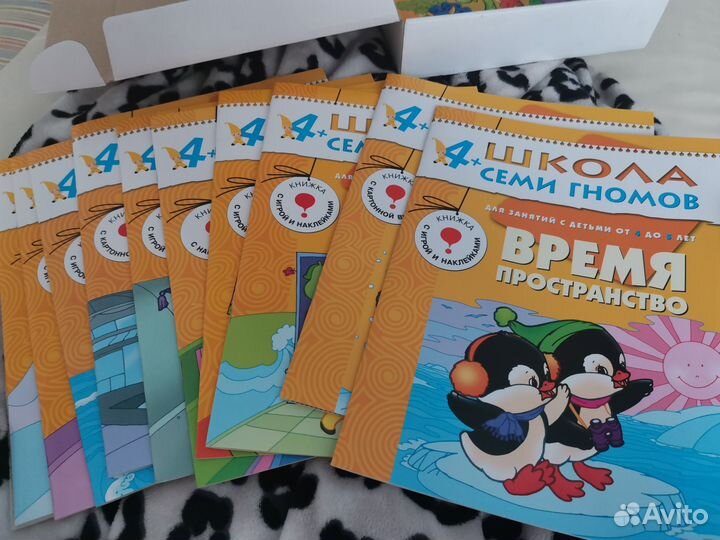 Школа 7 гномов