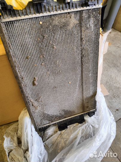 Радиатор охлаждения на ford focus 3