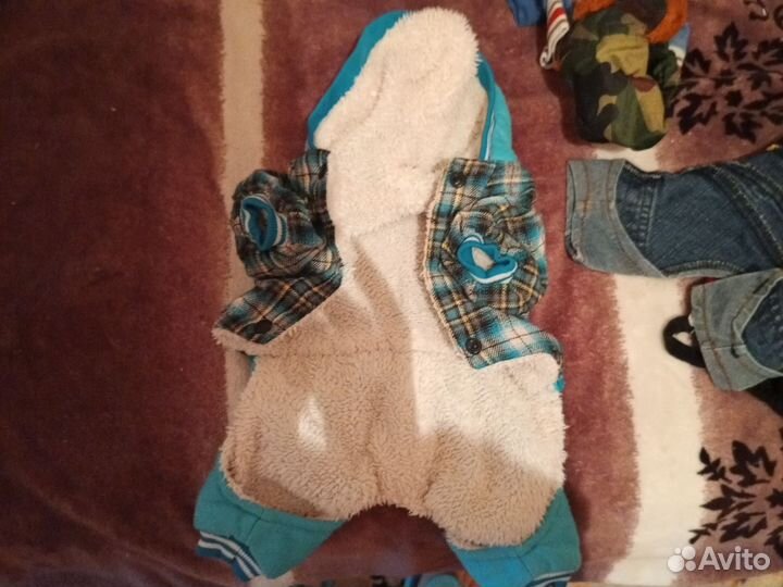 Вещи для собак пакетом