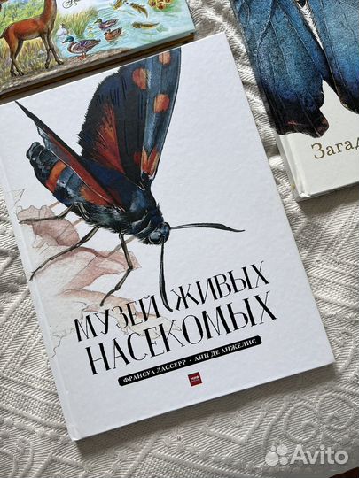 Книги для доставки