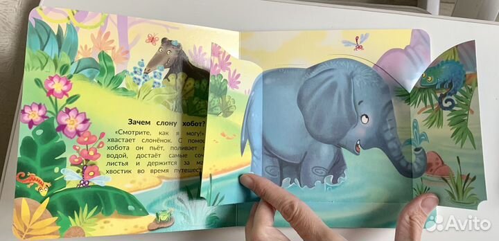 Развивающие книжки с окошками малышам