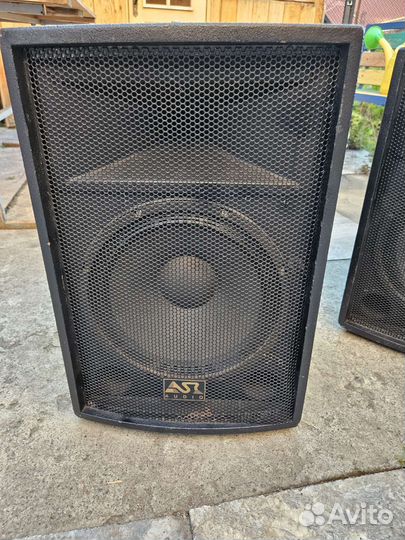 Пассивная акустика ASR 600w