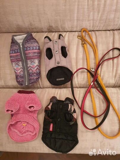 Вещи для щенка чихуахуа