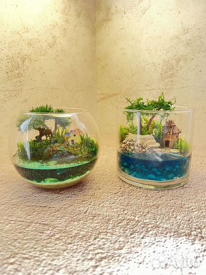 Флорариум Моосариум Подарок