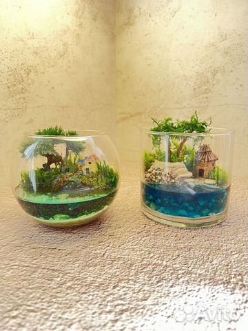 Флорариум Моосариум Подарок