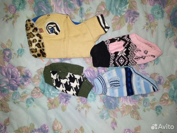 Одежда для маленькой собачки