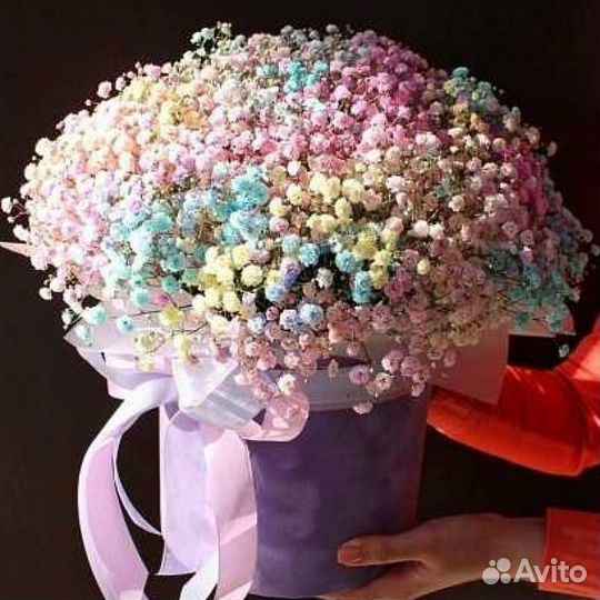 Цветы гипсофила