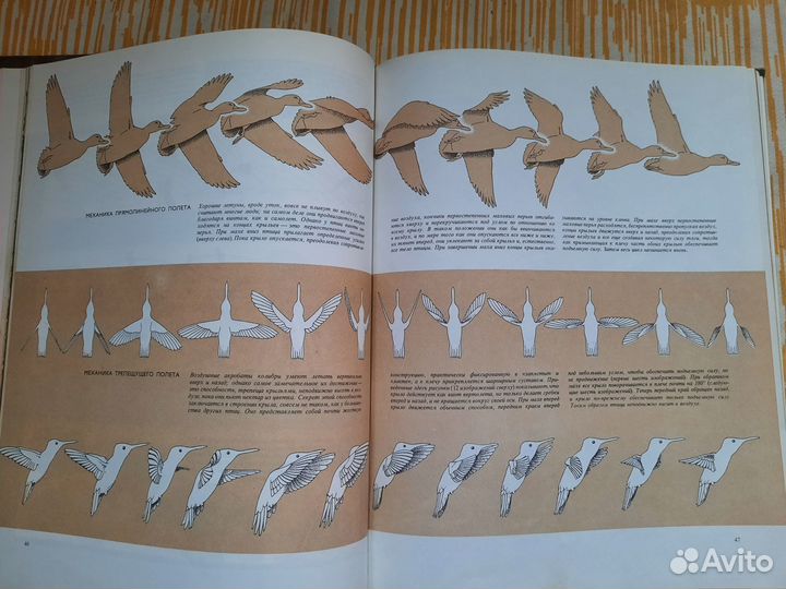 Книга Птицы Р.Питерсон 1973г. издательство Мир