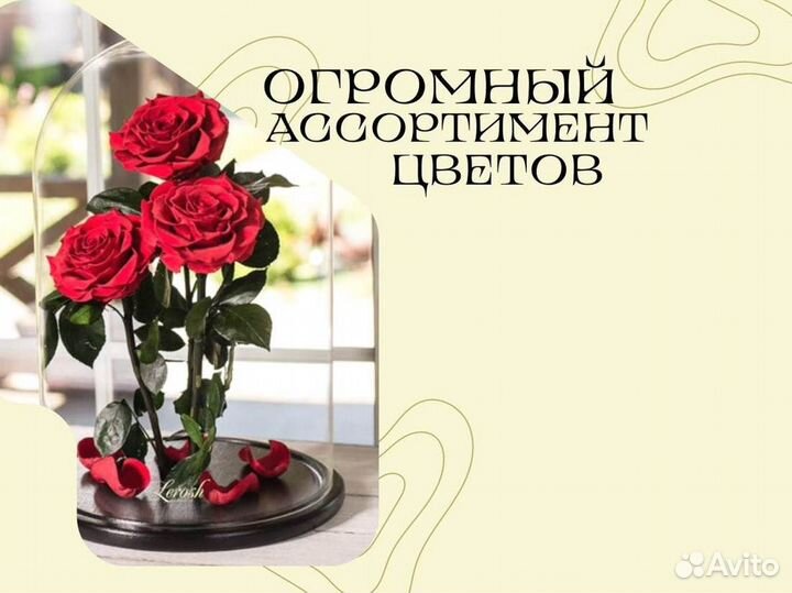 Розы в колбе разные