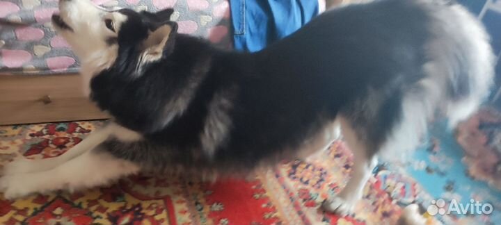 Кабель для вязки