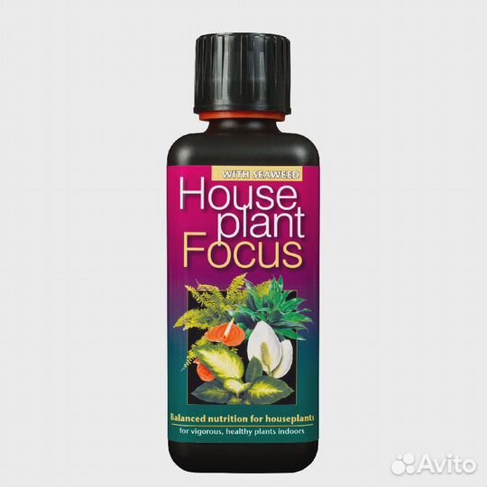 Houseplant Focus 300мл