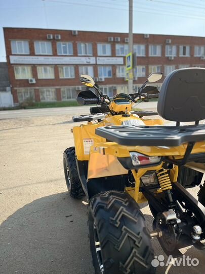 Avantis BIG hunter 200 premium в рассрочку