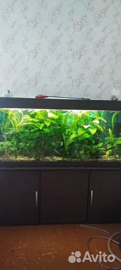 Аквариум с тумбой